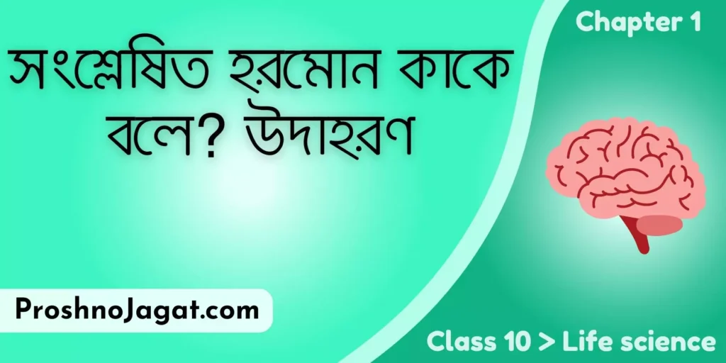 সংশ্লেষিত হরমোন কাকে বলে? উদাহরণ