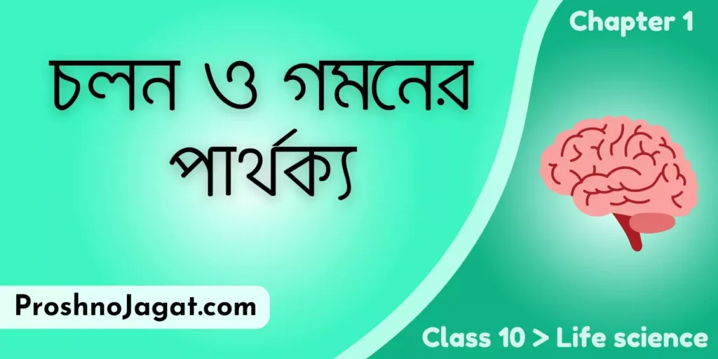 চলন ও গমনের পার্থক্য