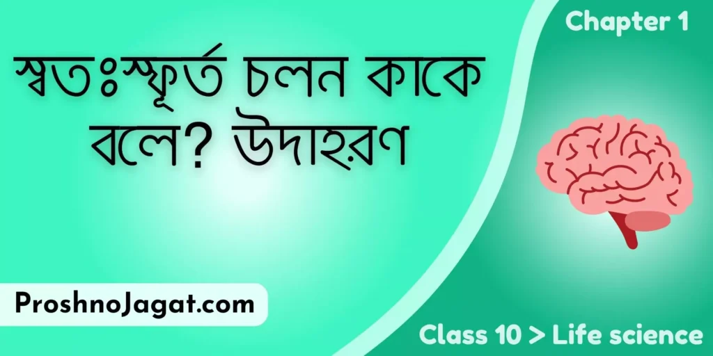 স্বতঃস্ফূর্ত চলন কাকে বলে উদাহরণ