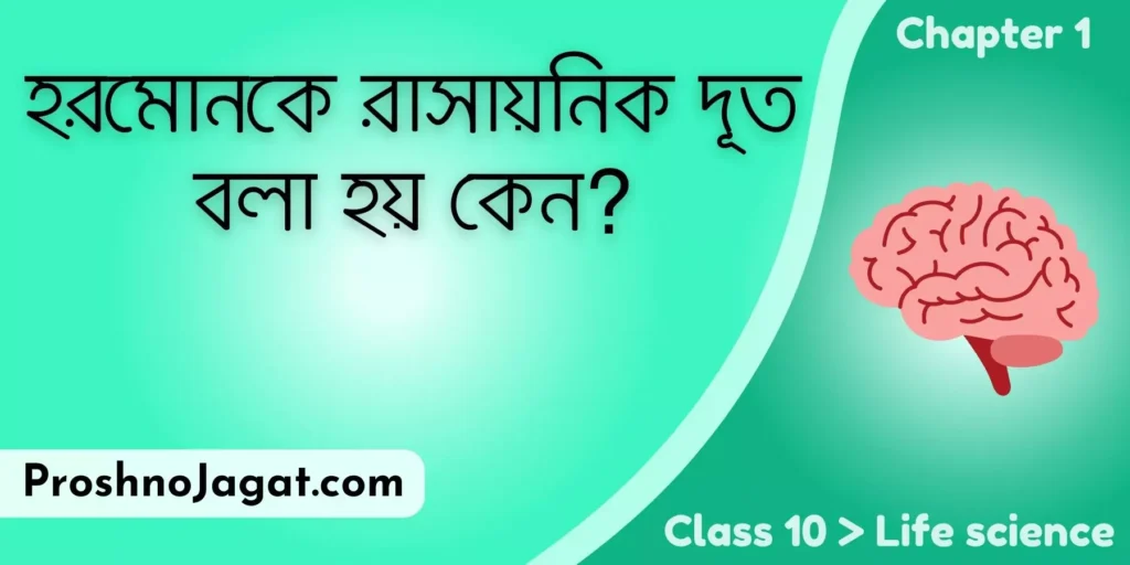 হরমোনকে রাসায়নিক দূত বলা হয় কেন