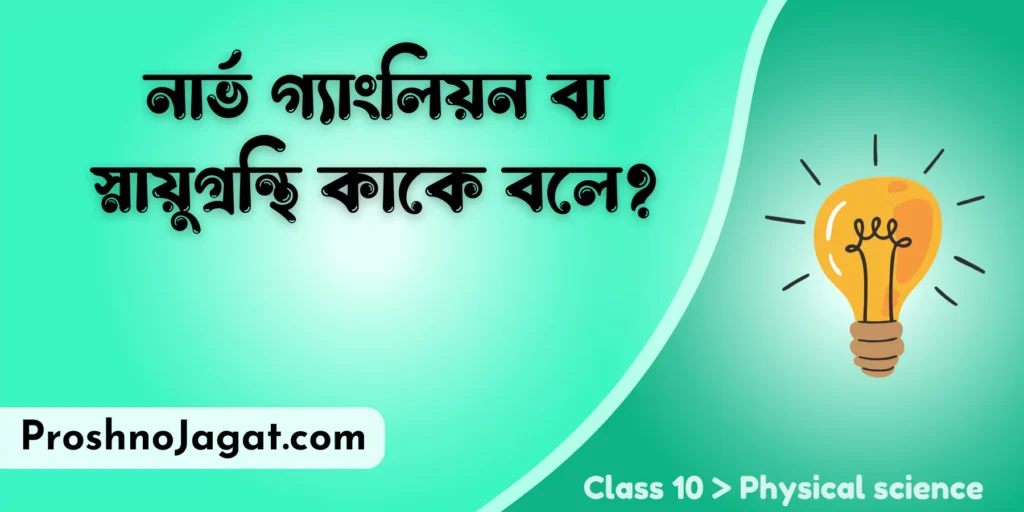 নার্ভ গ্যাংলিয়ন বা স্নায়ুগ্রন্থি কাকে বলে?