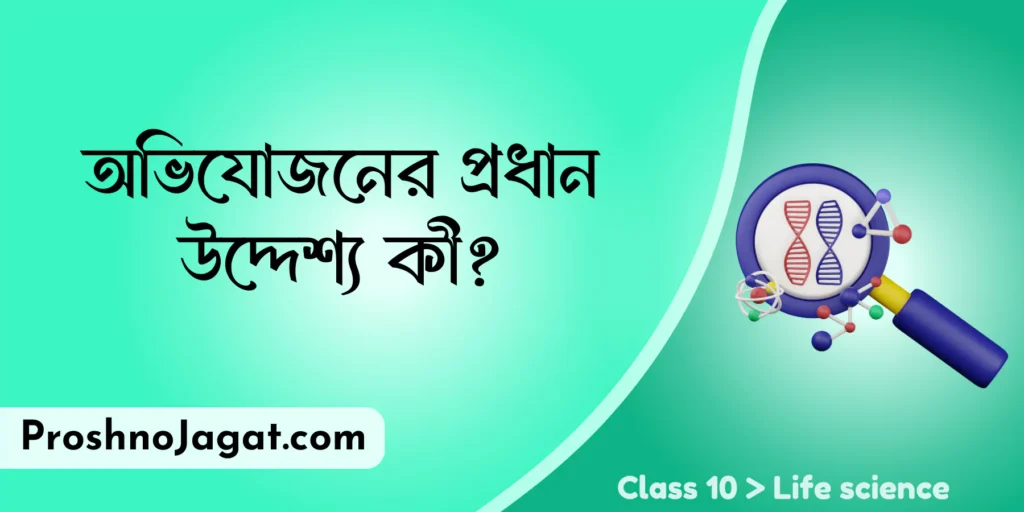 অভিযোজনের প্রধান উদ্দেশ্য কী?