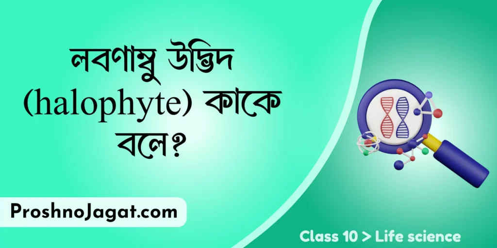 লবণাম্বু উদ্ভিদ (halophyte) কাকে বলে?