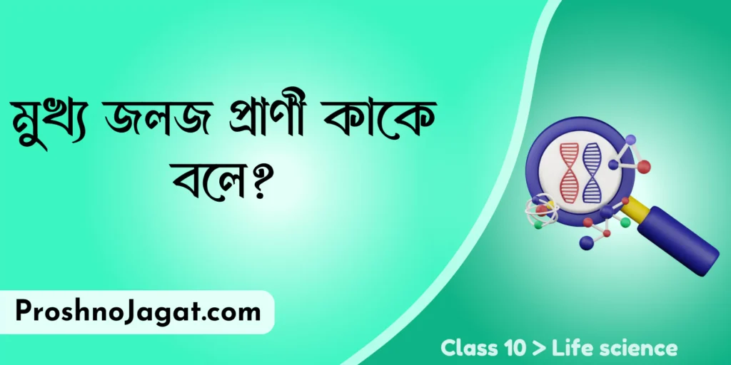 মুখ্য জলজ প্রাণী কাকে বলে?