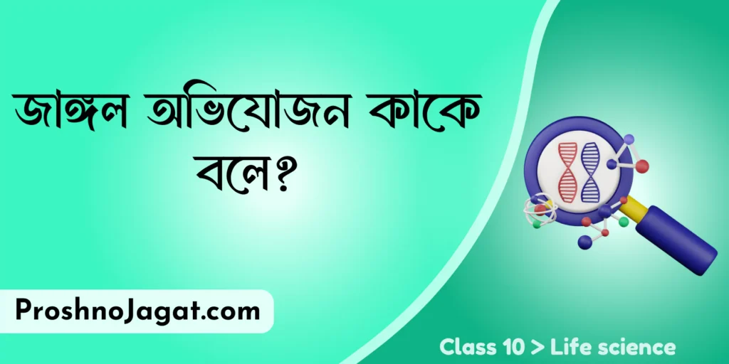 জাঙ্গল অভিযোজন কাকে বলে?