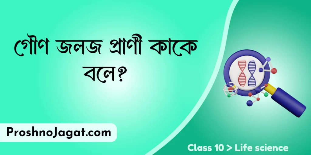 গৌণ জলজ প্রাণী কাকে বলে?